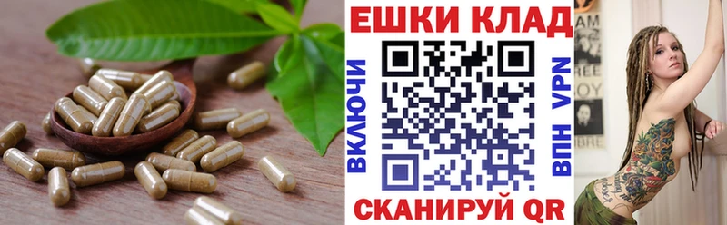 Ecstasy таблы  Городец 