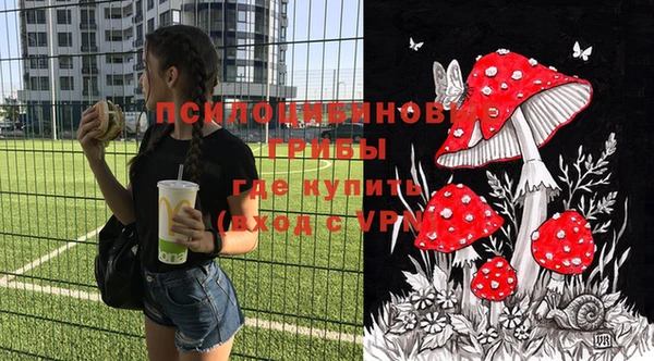 мдпв Богородск