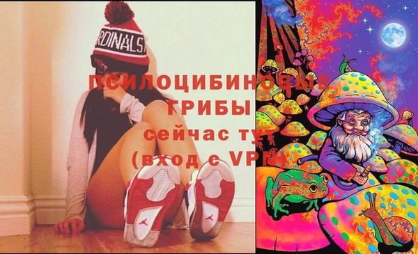МДМА Бородино