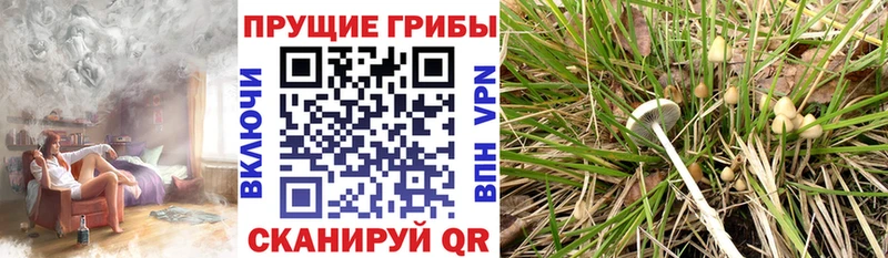 Галлюциногенные грибы GOLDEN TEACHER  Городец 