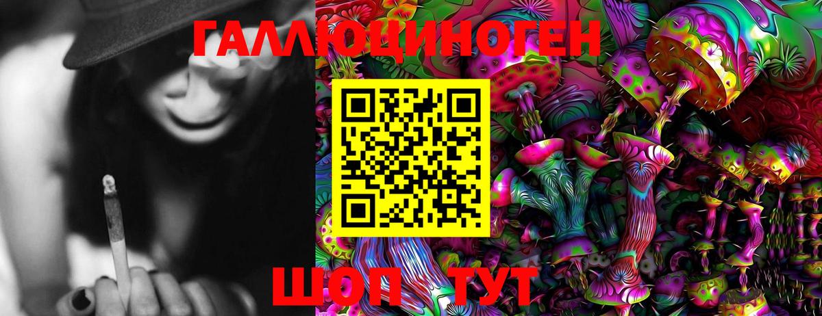 как найти закладки  Городец  Галлюциногенные грибы MAGIC MUSHROOMS 